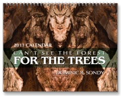 Can&#39;t See The Forest For The Trees 2013 Calendar